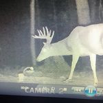 David Sizemore - @david.sizemore.1238 - Instagram