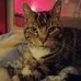 Dave Slusher - Facebook