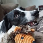 Dave Smallwood - @twelve10z - Instagram