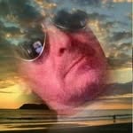 Dave Smallwood - @smallwooddave2 - Instagram
