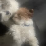 Daves6711 - @davesniffmahballs - Instagram
