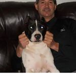 Dave Snow - @davsno - Instagram