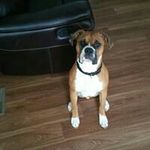 Dave Snow - @snow.dave - Instagram
