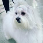 david Spohn - @david.spohn.319 - Instagram