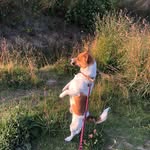 Dave Spoors - @davespoors - Instagram