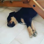 dave - @davestar_007 - Instagram