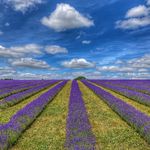 Dave Steer - @steerpics - Instagram