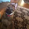 davenancystefanic - @davenancystefanic - TikTok