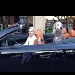 David Steinberg - @david_steinberg - Instagram