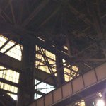 Dave Stellato - @dstella22 - Instagram