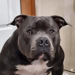 Dave Stender - @stender.dave - Instagram