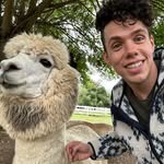 David Stengel - @davidstengel - Instagram