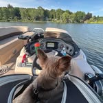 David Stengel Jr. - @handsome_baked_potato - Instagram