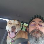 Dave Stepp - @dave_stepp1 - Instagram
