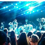 Dave, Steve, Phil, Jon, Mark - @gigolo_aunts - Instagram