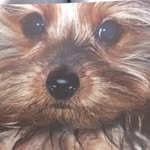 David C. Stillman - @c.d.stillman_ - Instagram