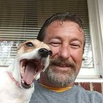 david stillwell - @davidstillwell291 - Instagram