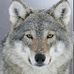 David N Stimson - Facebook