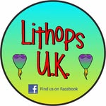 Dave JP Stocks - @dave_lithops.uk - Instagram