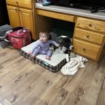 Dave Stocks - @dave.stocks - Instagram
