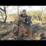 Dave Stoddard - @ak_stoddards - Instagram