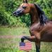 David Stoltzfus - Facebook