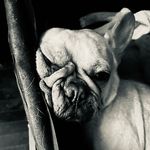 Dave Stone-Robb - @davestonerobb - Instagram