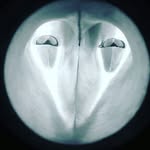 Dave stones - @davesstones - Instagram