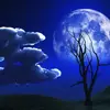🫰Davestones😇👻 - @davestones01 - TikTok