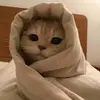 dave story - @dave.story1 - TikTok