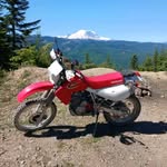 dave stout - @davestout680 - Instagram