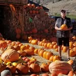 Dave Stout - @dave.stout.33 - Instagram