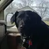 davestout541 - @davestout541 - TikTok