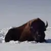 davestout61 - @davestout61 - TikTok