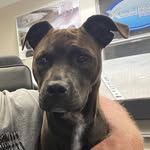 Dave Stovall - @77davebomb77 - Instagram