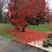 David Stovall - Facebook