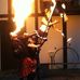 Dave Strain - Facebook