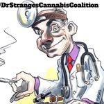 Dave Strange - @drstrangescannaco - Instagram
