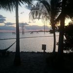 Dave Straub - @dave.straub - Instagram