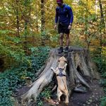 Dave_stream - @dave_stream - Instagram