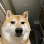 @dave_streams_ - Instagram