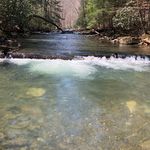 Meathead - @dave_streamer - Instagram