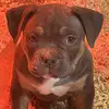 Dave Streets - @dave.streets6 - TikTok