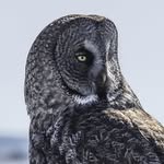 Dave Streeter - @dgstreeter - Instagram