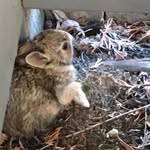 Dave - @dave_strege - Instagram