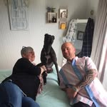 Dave Stringer - @davidianstringer - Instagram