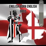 Dave Stringer - @dave38733 - Instagram
