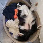Dave Stroud - @davestroud66 - Instagram