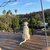dave_stroud - @dstrojvoyk8 - TikTok
