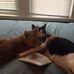 Dave Strunk - Facebook